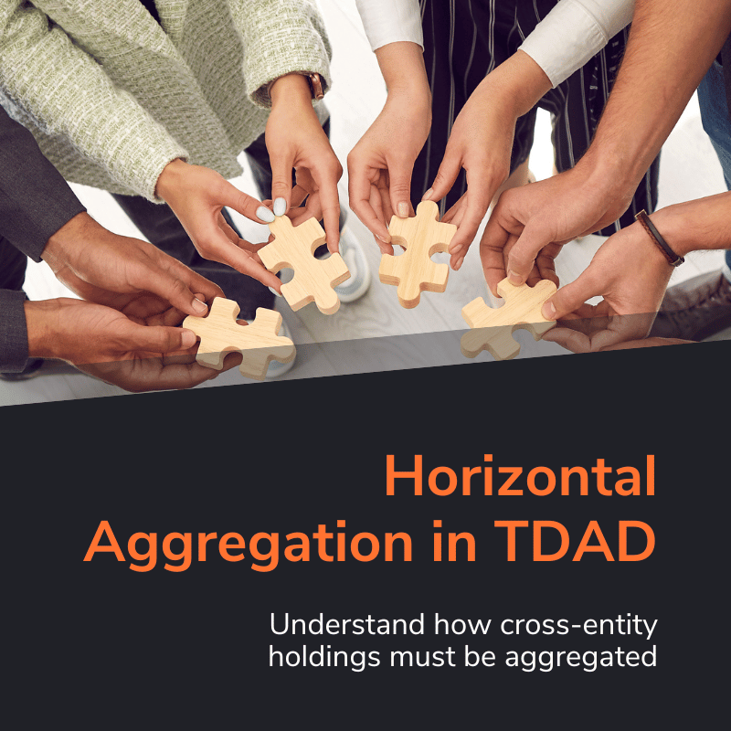 Horizontal Aggregation in TDAD
